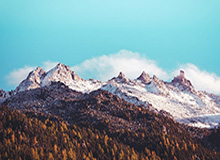 开云体育官网：点燃体育热情，成就你的高效娱乐之路